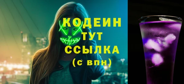 гашик Вяземский