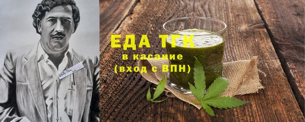 гашик Вяземский