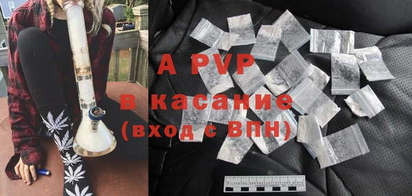 гашик Вяземский