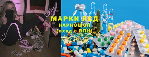 гашик Вяземский