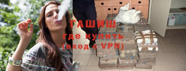 гашик Вяземский