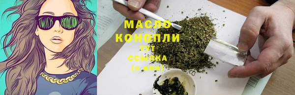 гашик Вяземский